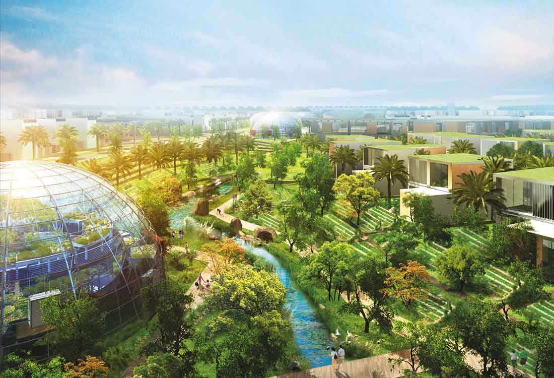 Sustainable Urban Development: Creating Green, Livable Cities